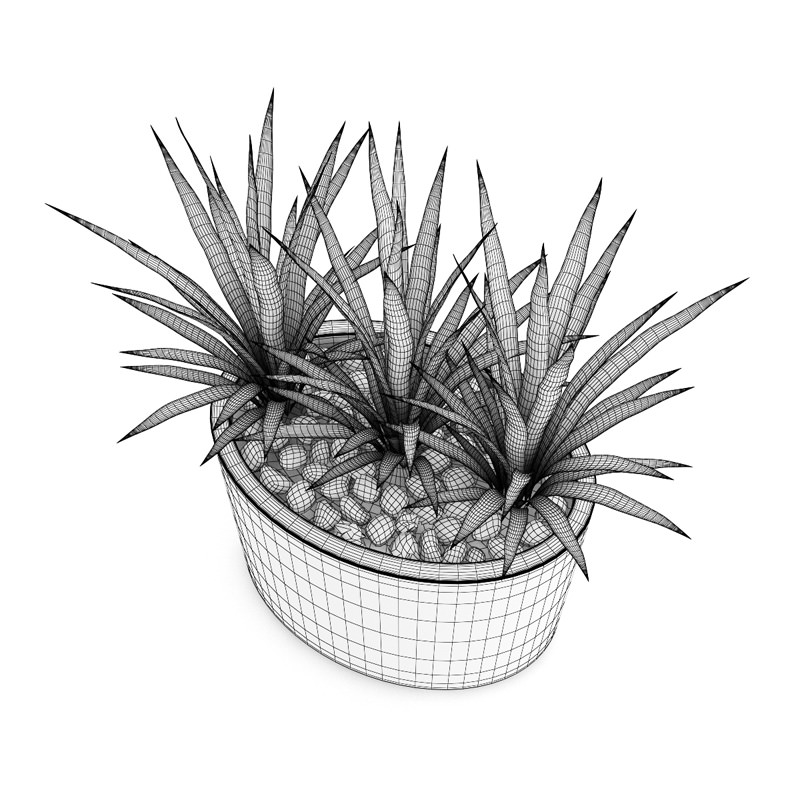Triple Palm 3D model_2