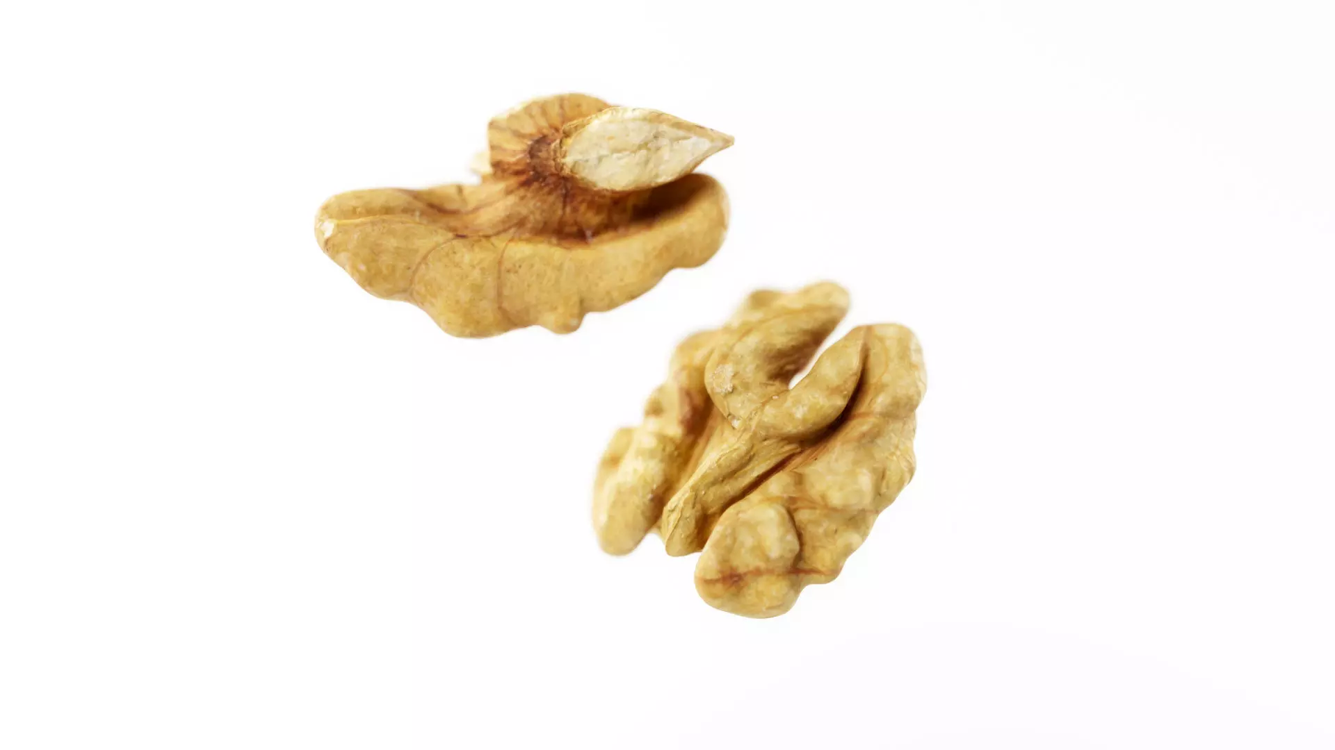 Walnuts - 3D Scan Low-poly 3D model_0