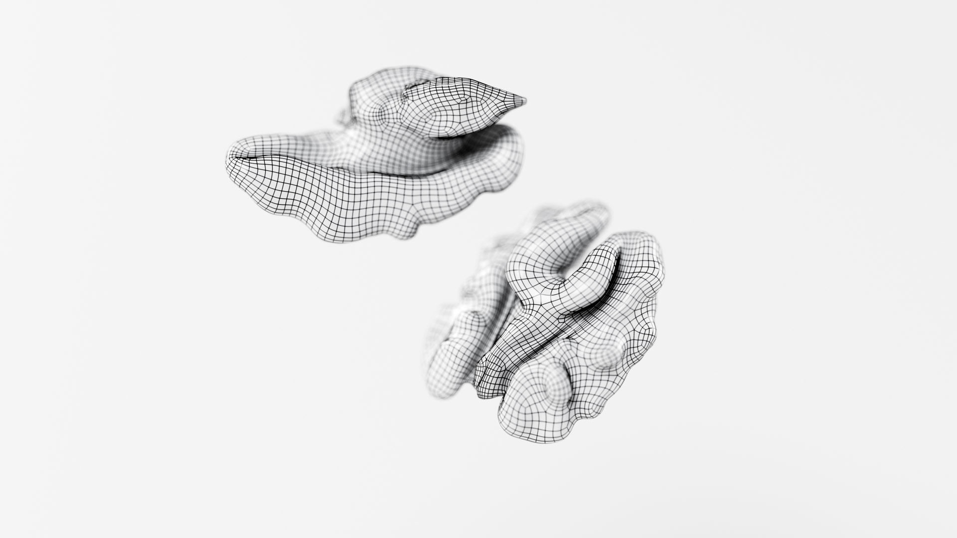 Walnuts - 3D Scan Low-poly 3D model_2