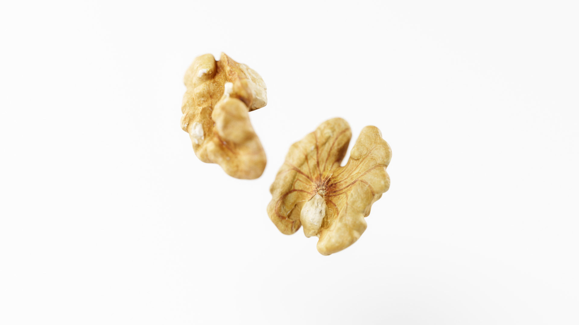 Walnuts - 3D Scan Low-poly 3D model_1