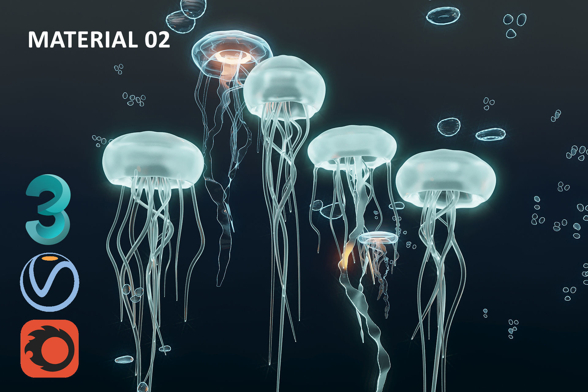 JellyFish Hologram 3D model_3