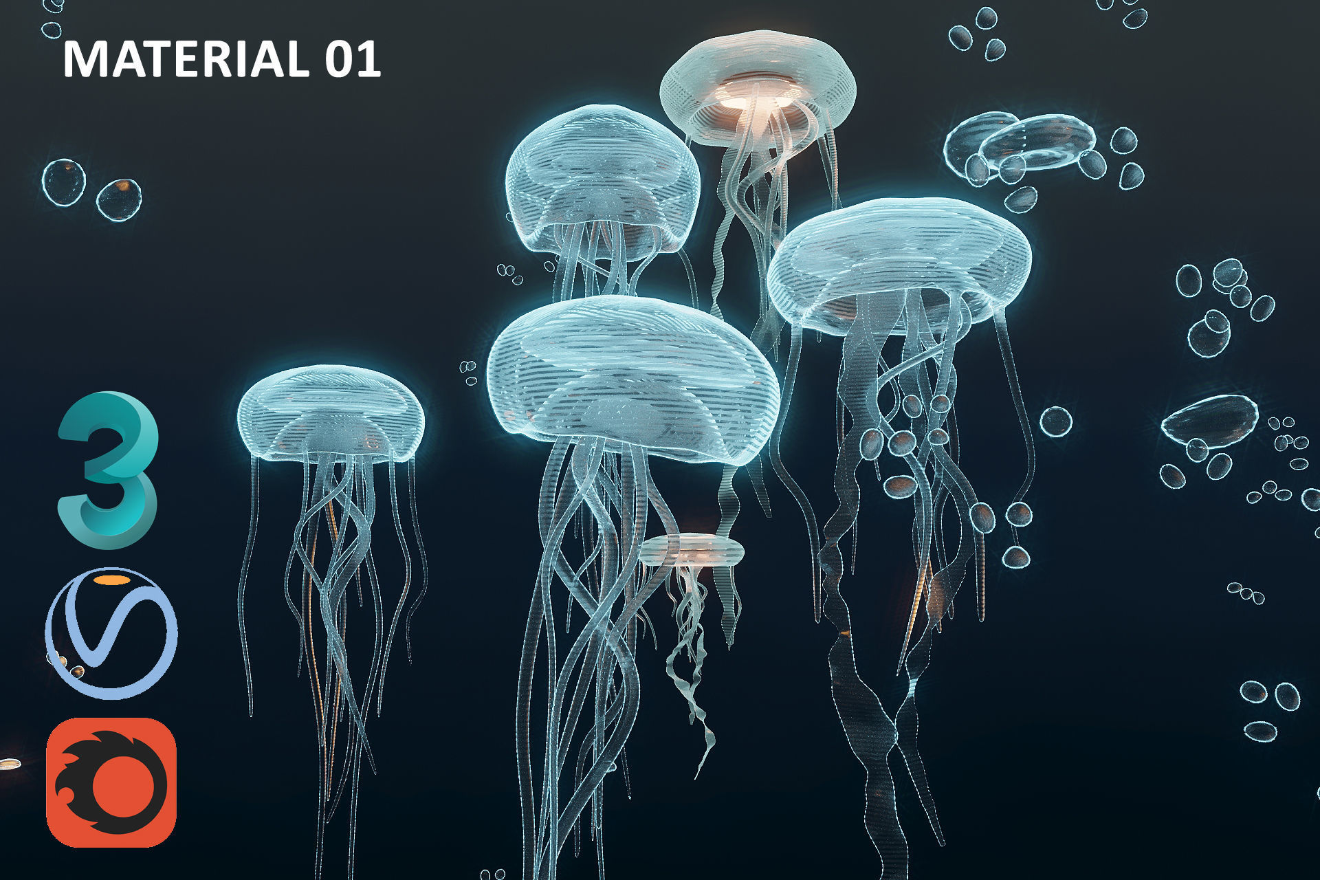 JellyFish Hologram 3D model_1