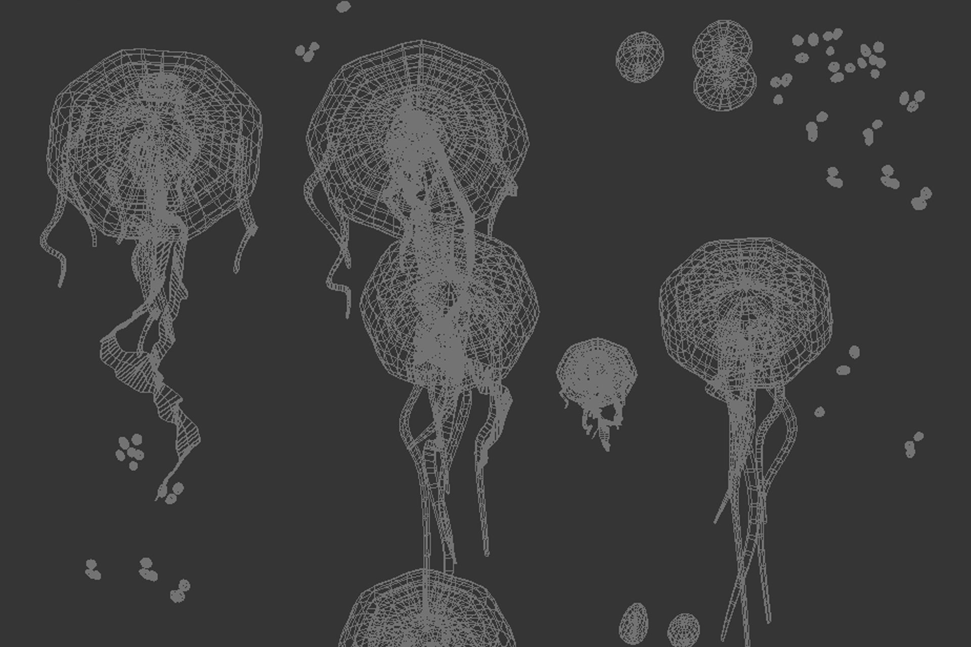 JellyFish Hologram 3D model_8