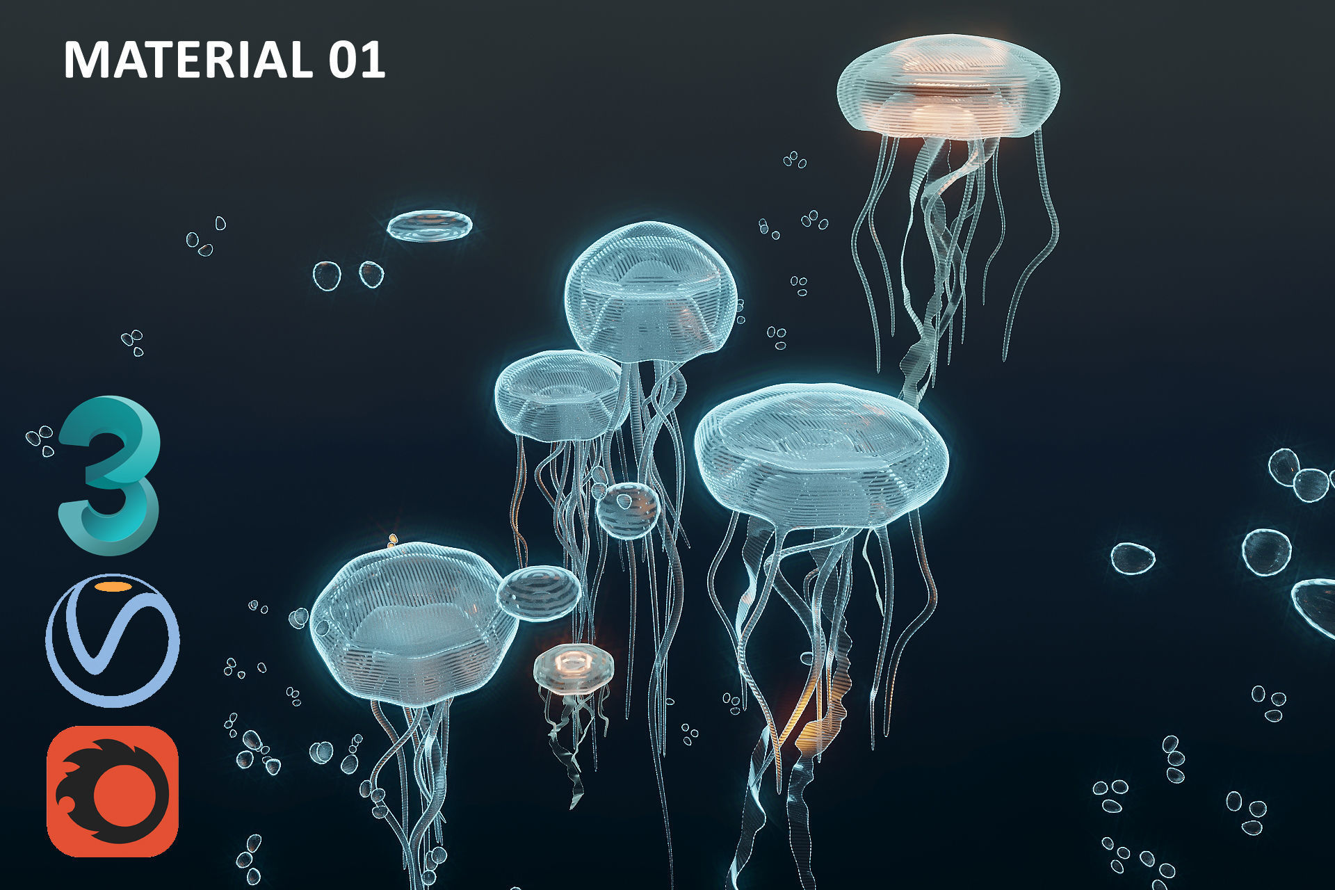 JellyFish Hologram 3D model_2