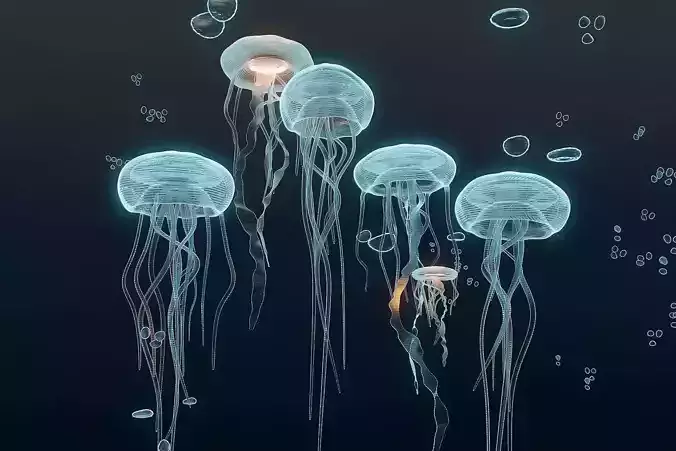 JellyFish Hologram 3D model