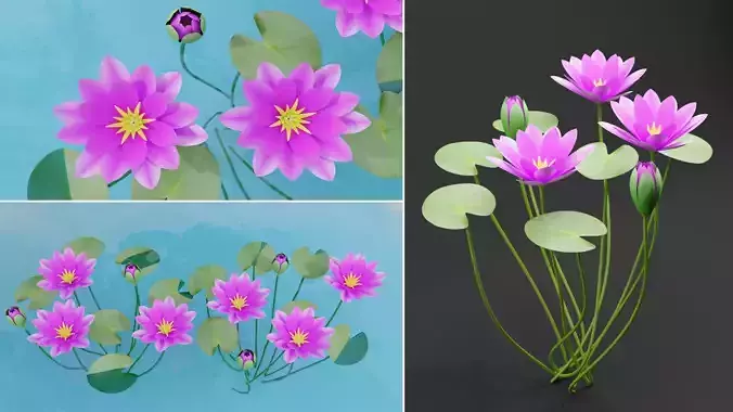 Water lily Pink 3D model