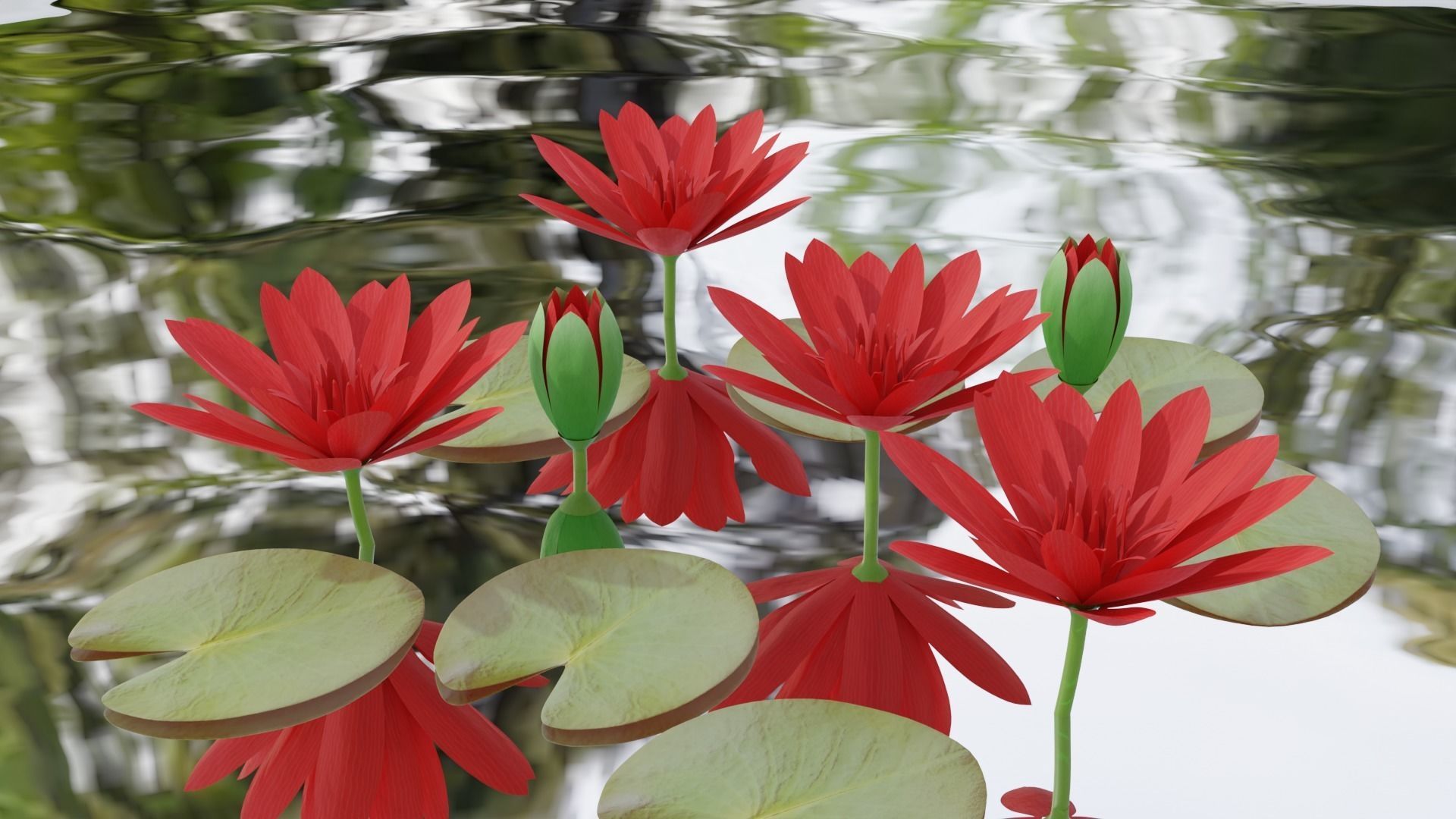 Water Lily Red 3D model_2