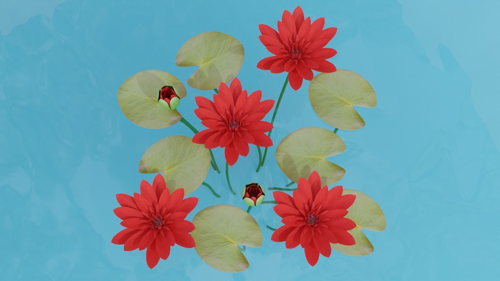 Water Lily Red 3D model_3