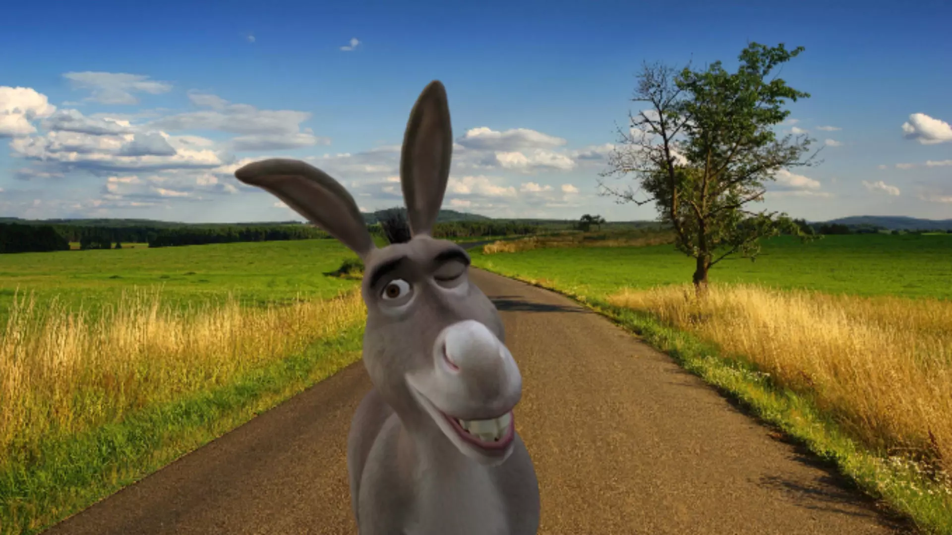 Donkey Low-poly 3D model