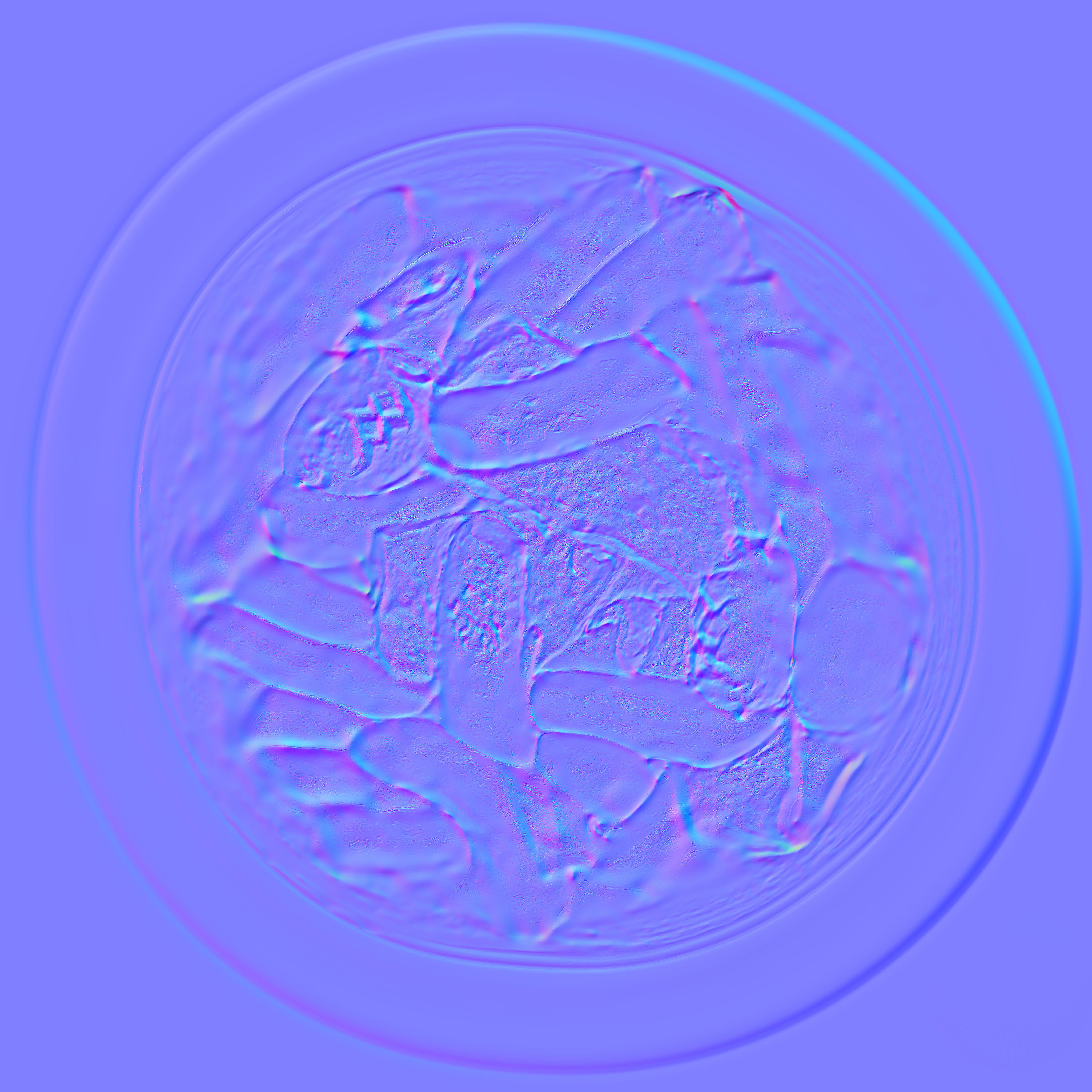 Game Ready Topokki Low-poly 3D model_19