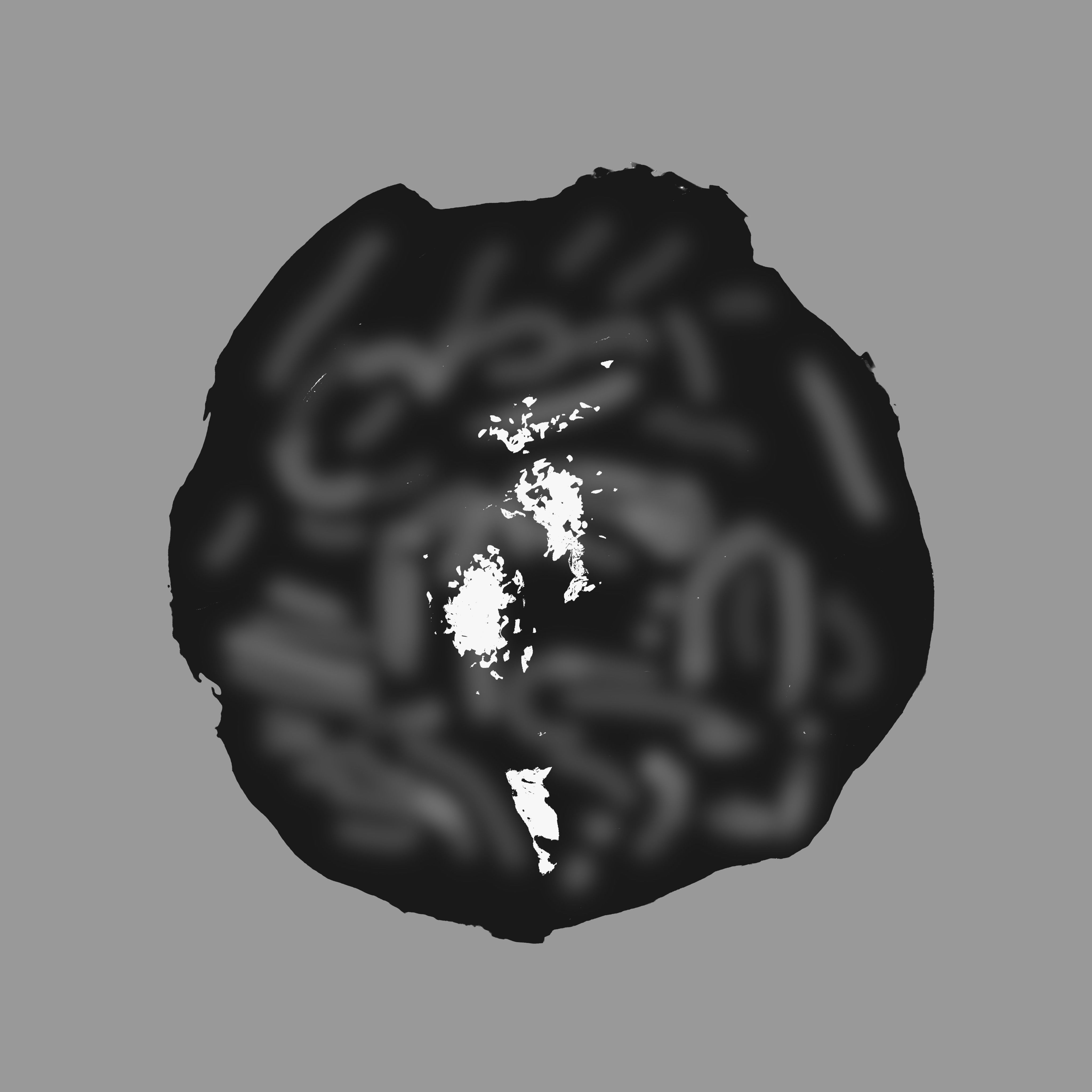 Game Ready Topokki Low-poly 3D model_16