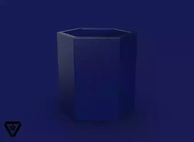 05 Hexagon Geometric Vase Flower Pot V1 Nafisa