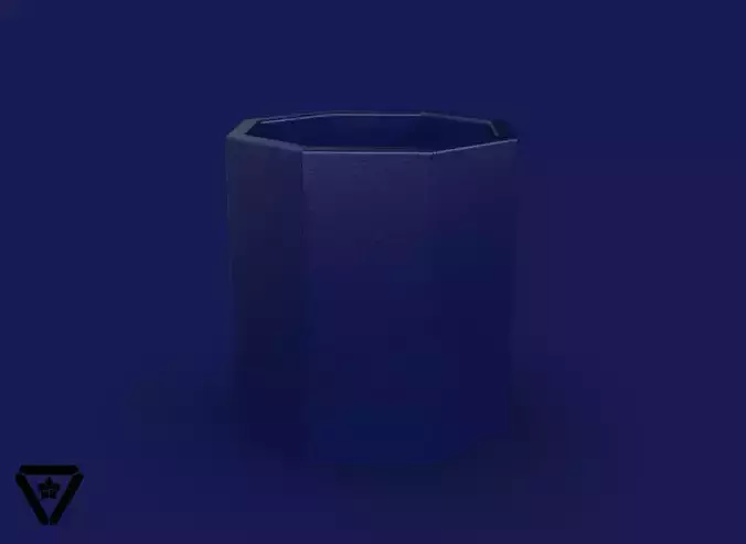 07 Octagon Geometric PlanterPot V1 Nisha