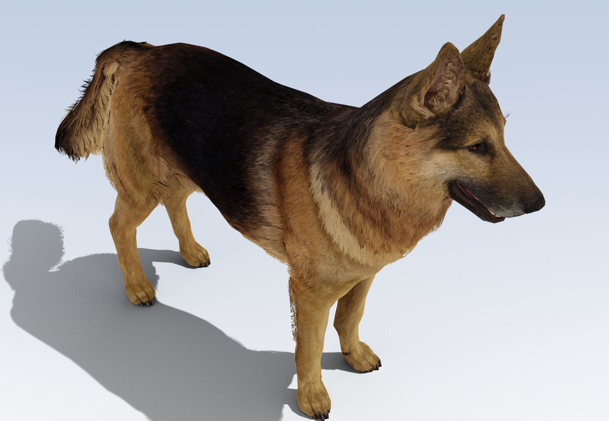 German Shepherd Dog Rig Low-poly 3D model_4