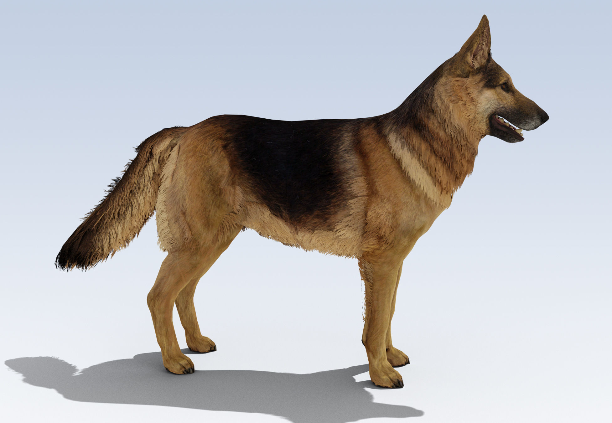 German Shepherd Dog Rig Low-poly 3D model_2