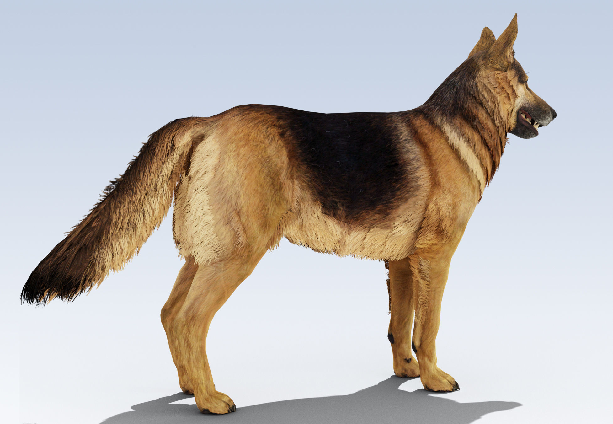 German Shepherd Dog Rig Low-poly 3D model_3