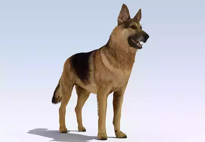 German Shepherd Dog Rig Low-poly 3D model