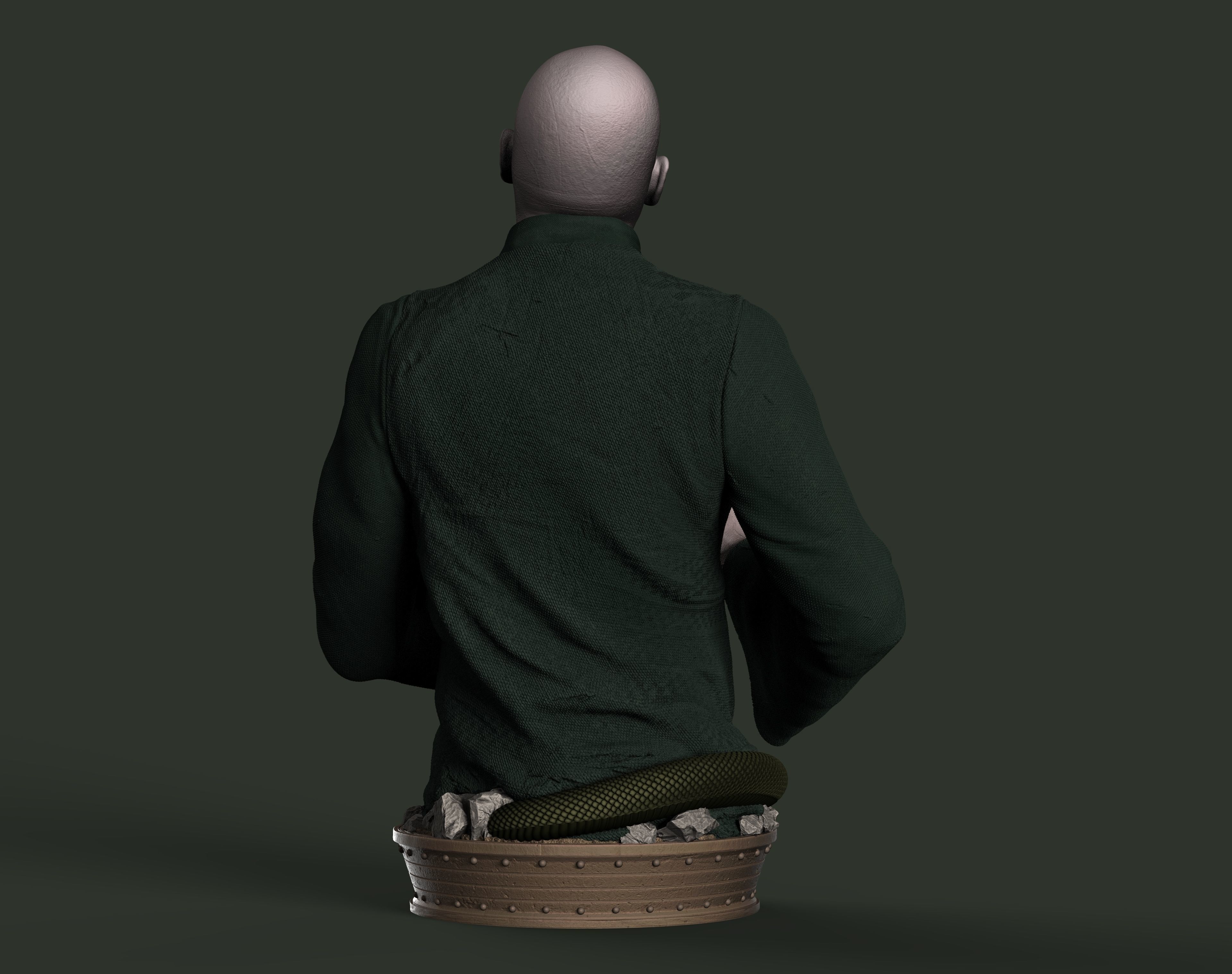 Voldemort 3D print model_4