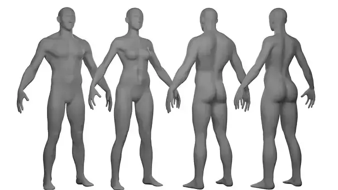 Female Male Basemesh