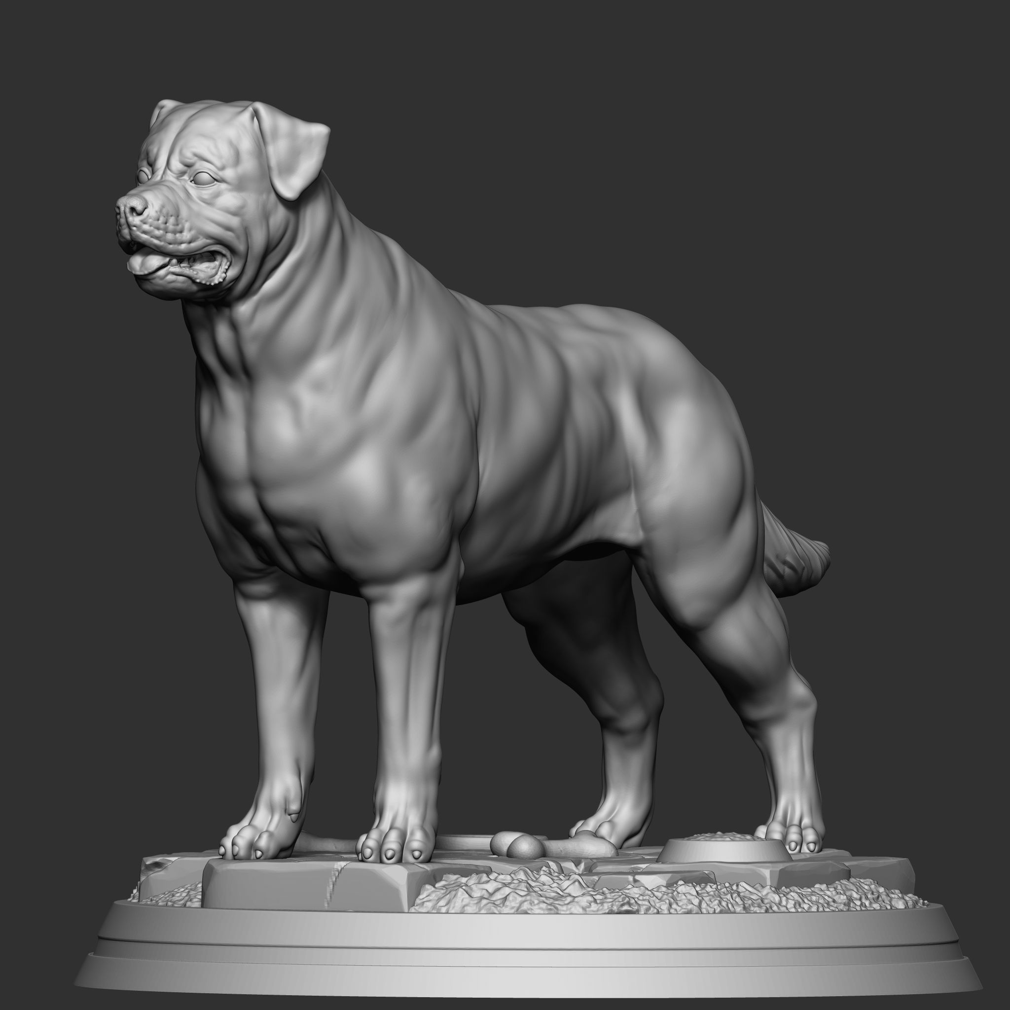 Rottweiler 3D print model_1