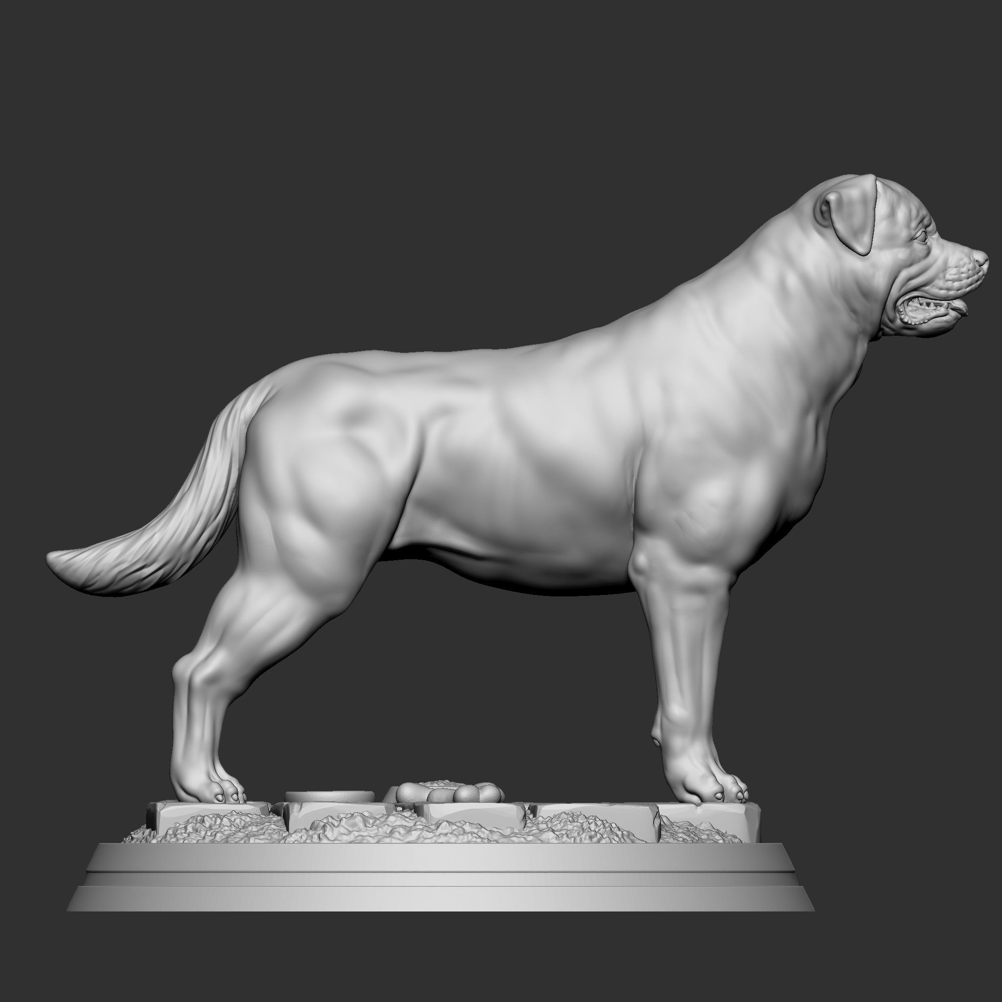 Rottweiler 3D print model_4