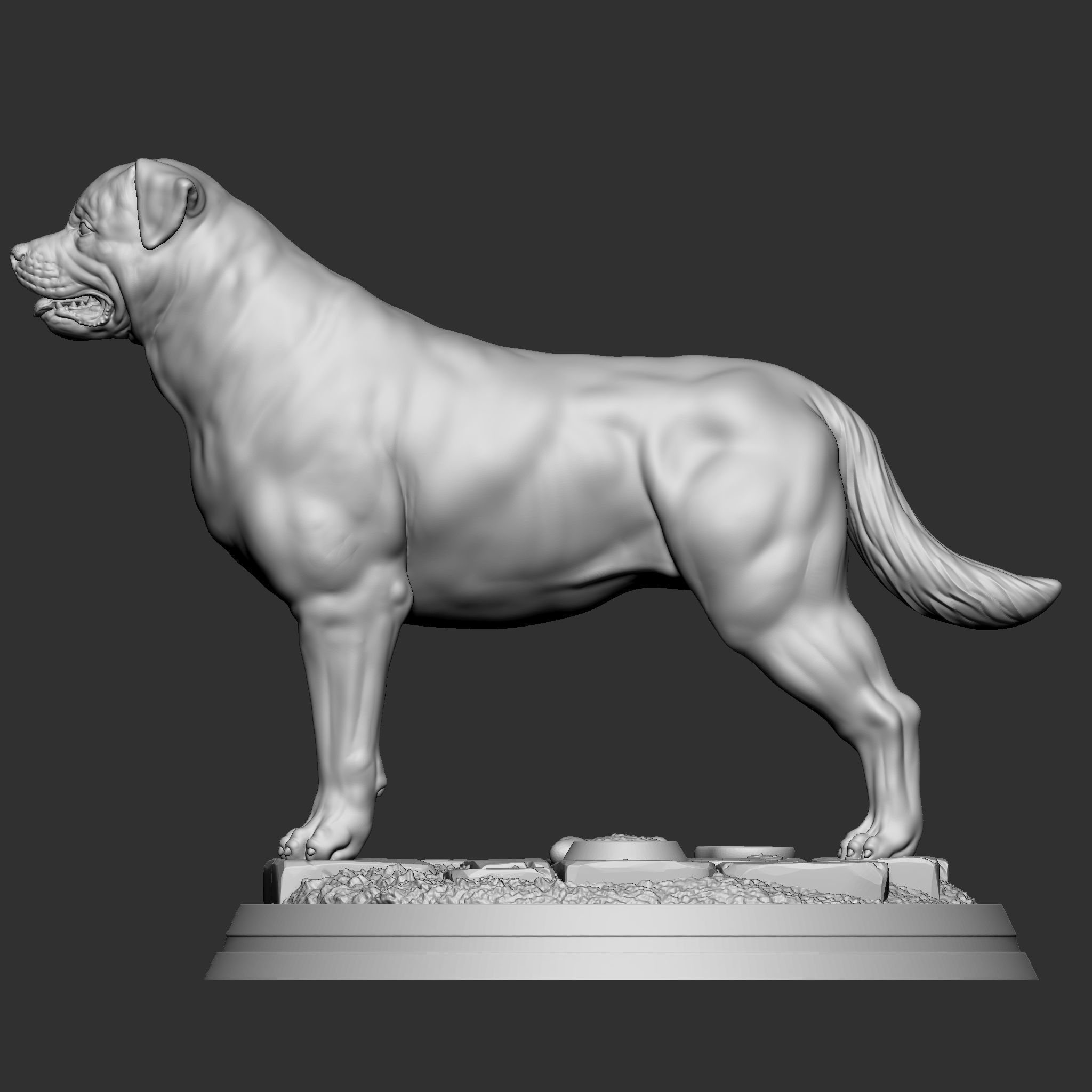 Rottweiler 3D print model_7