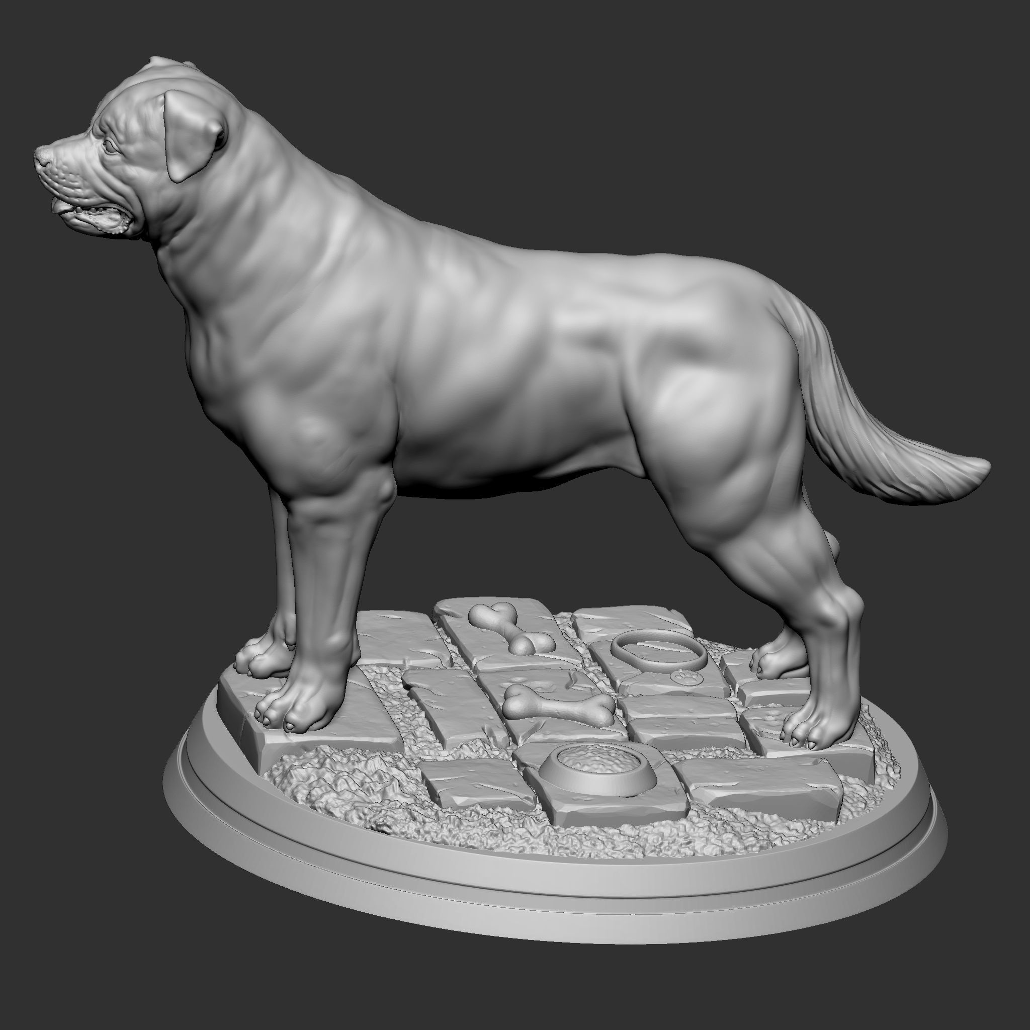 Rottweiler 3D print model_9