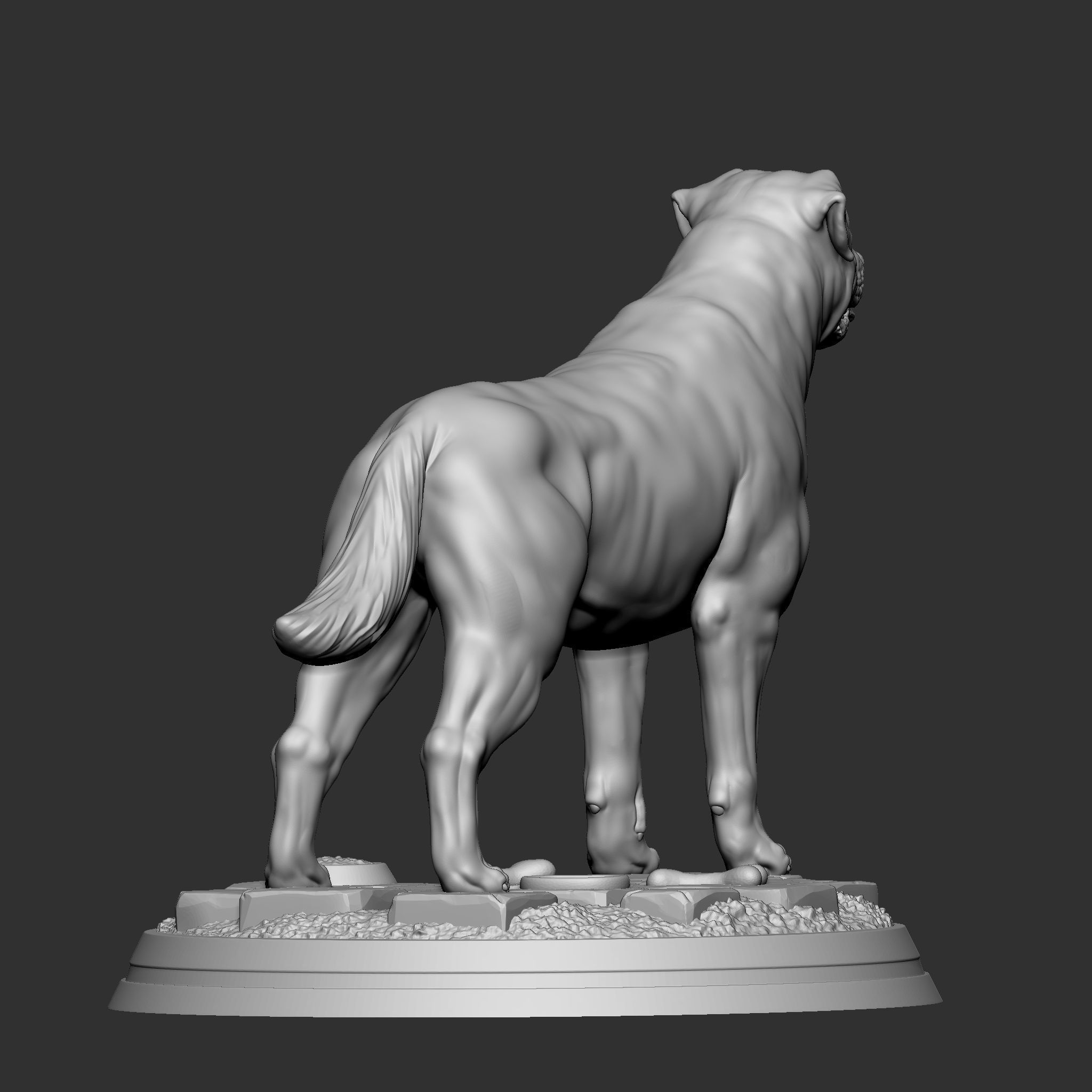 Rottweiler 3D print model_5