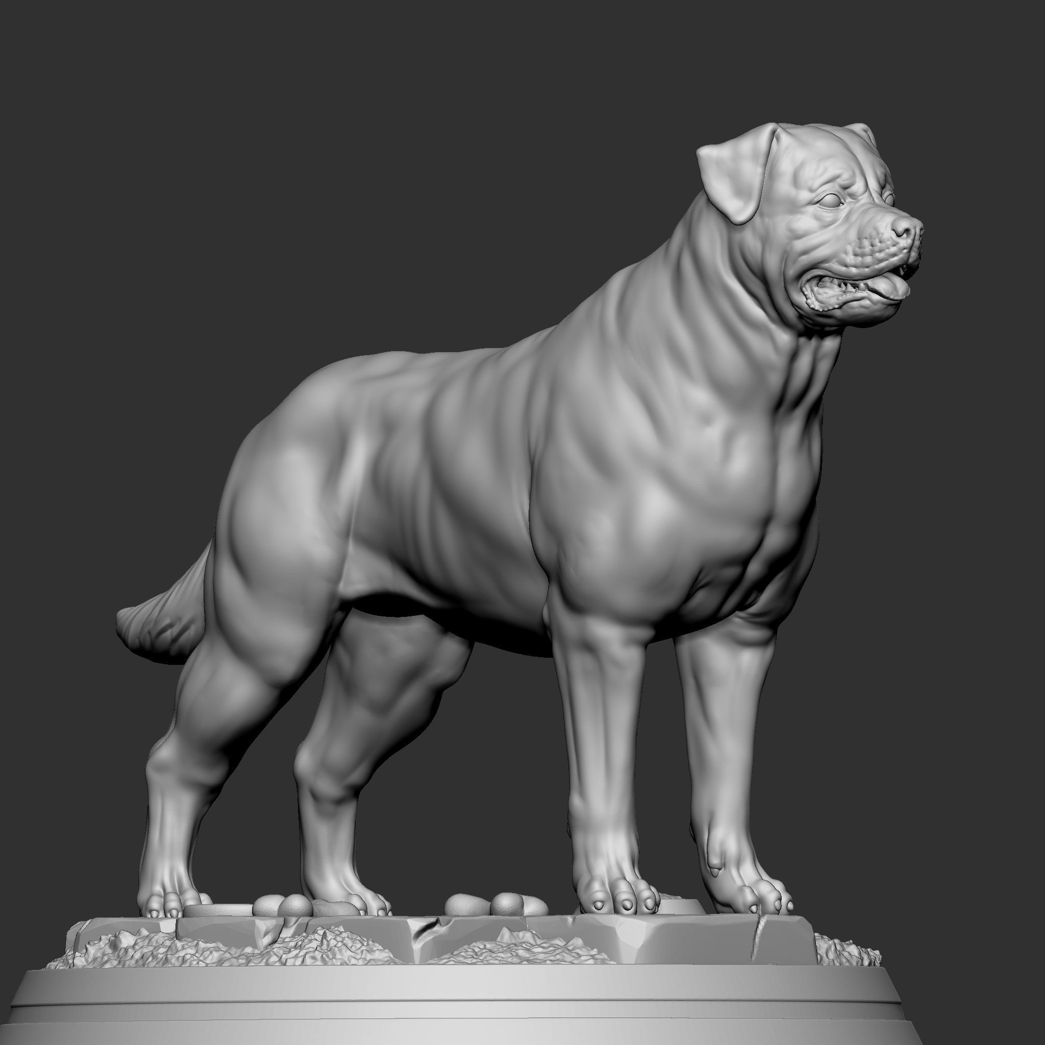 Rottweiler 3D print model_3