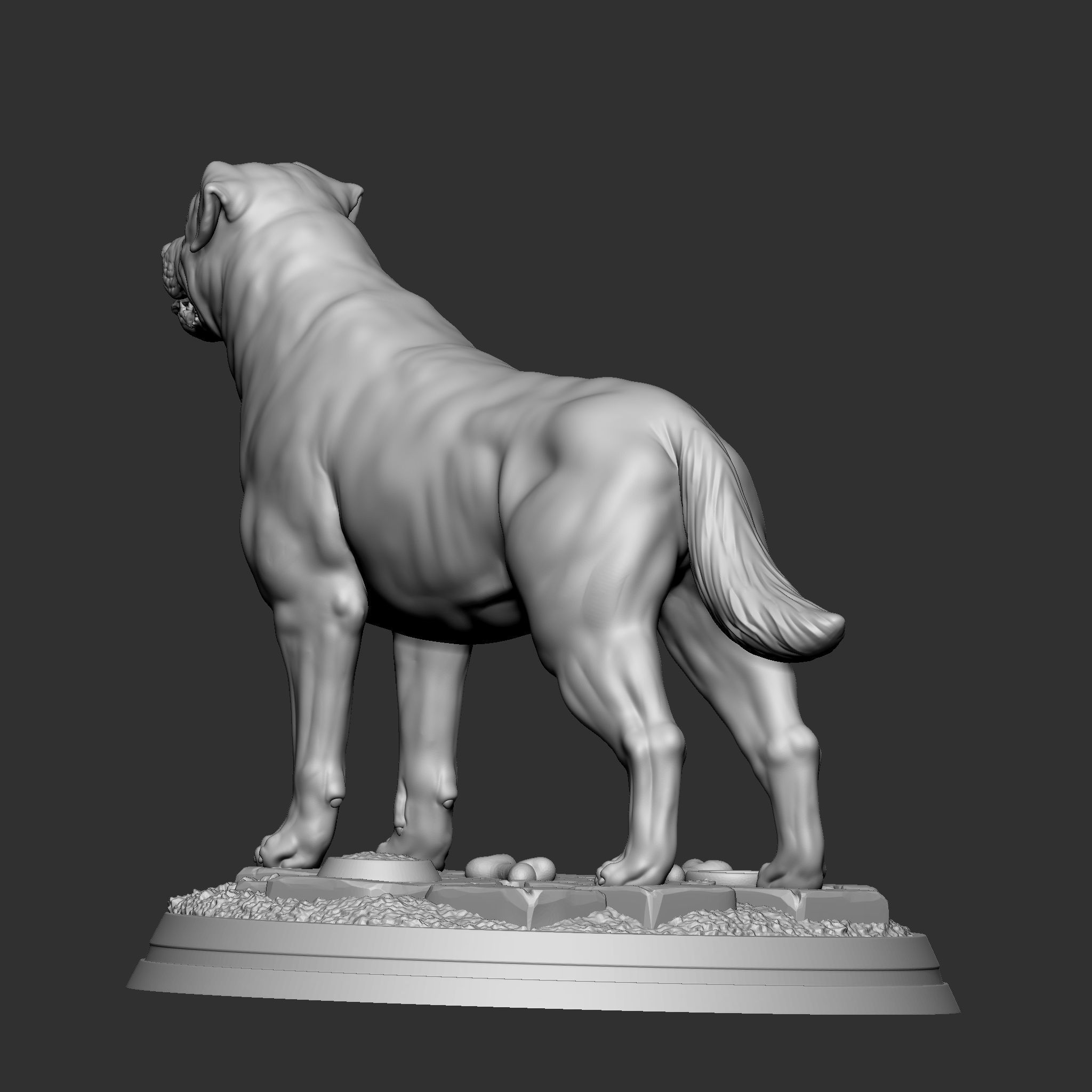 Rottweiler 3D print model_6
