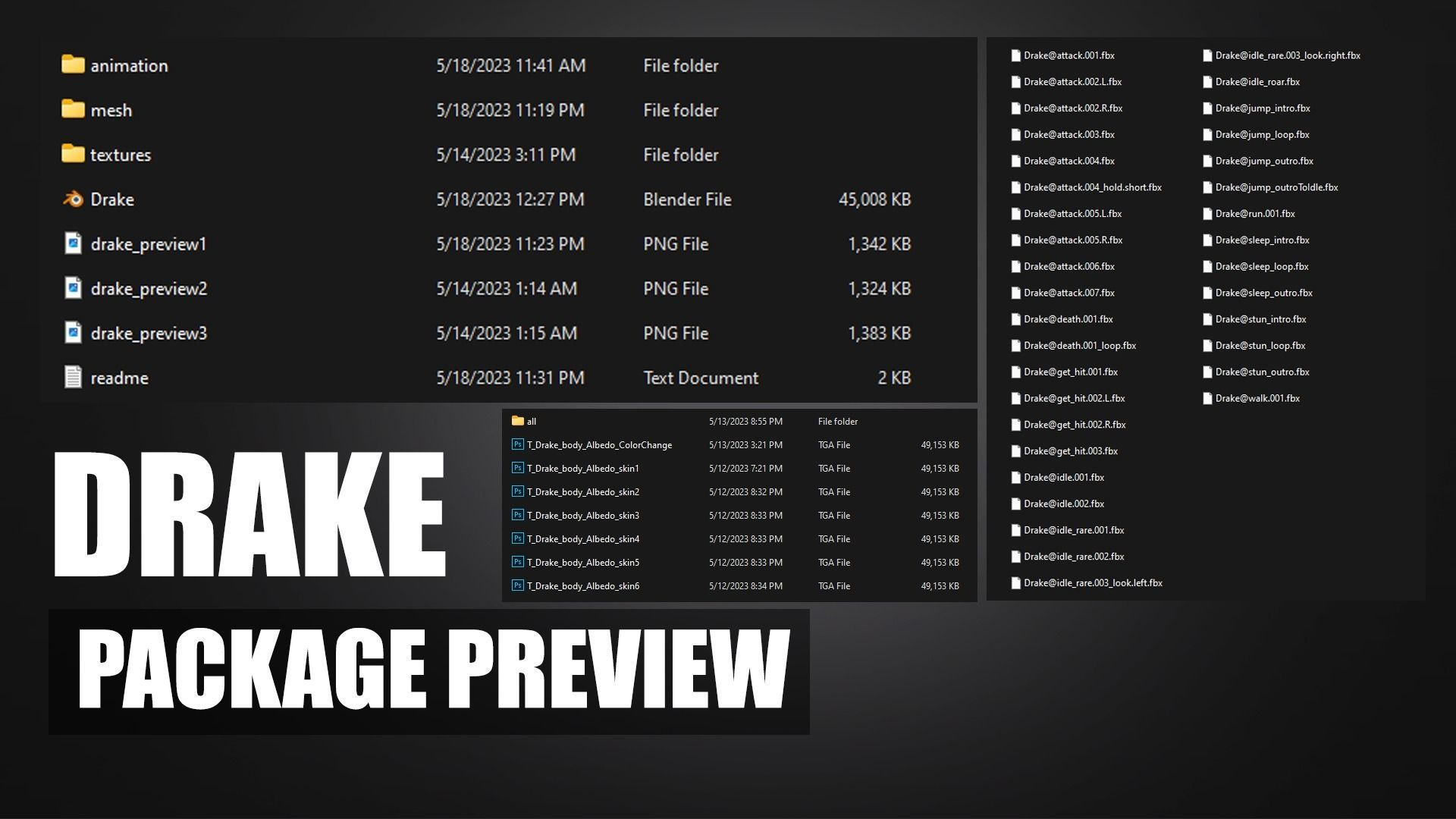 Drake Low-poly 3D model_19