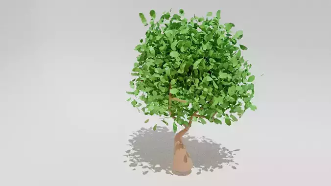 cute toon tree 3d model  3D model