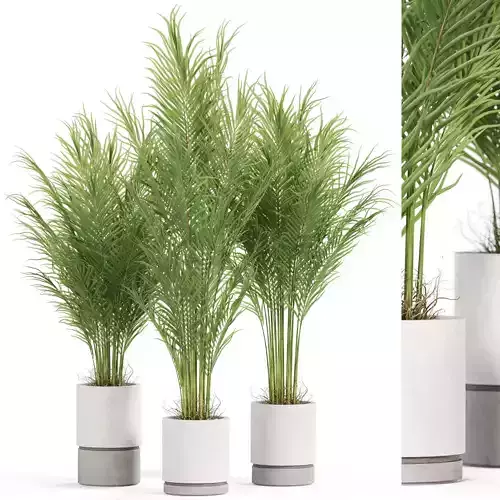 Plants collection 938 3D model