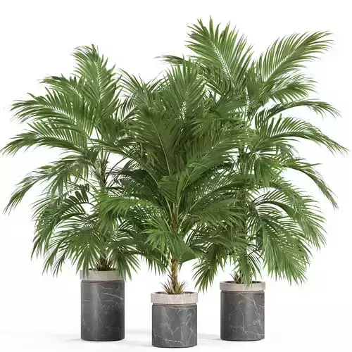 Plants collection 940 3D model