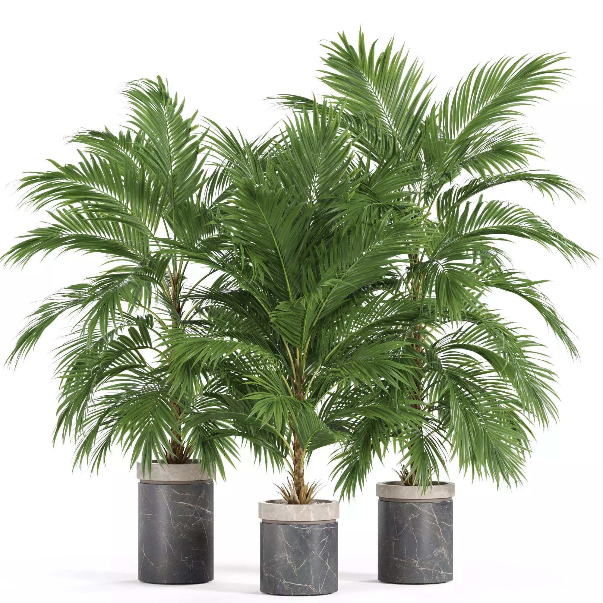 Plants collection 940 3D model