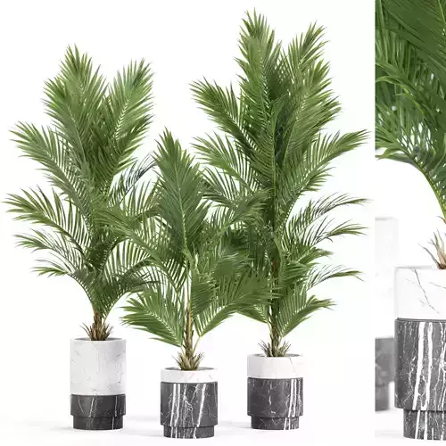 Plants collection 941