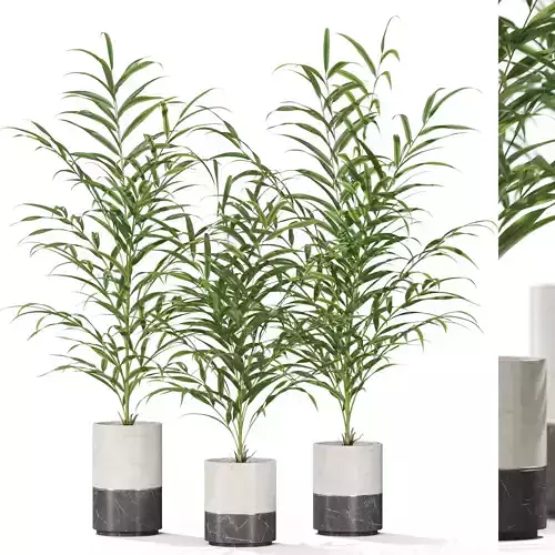 Plants collection 942