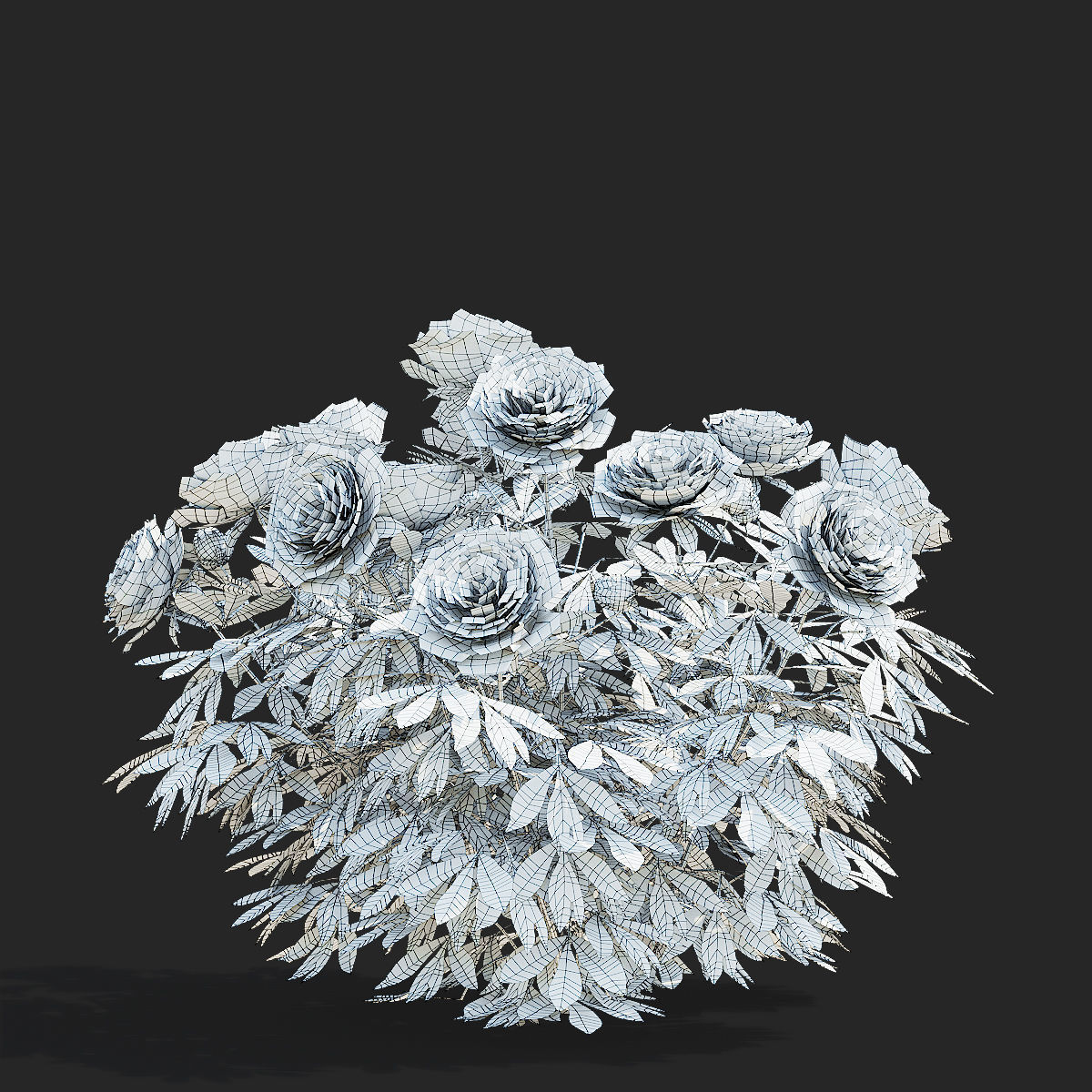 Paeonia lactiflora bushes 3 colors 3D model_9
