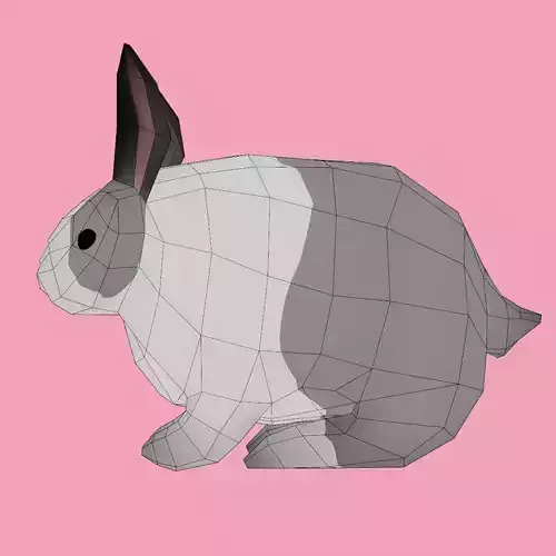 Rabbit