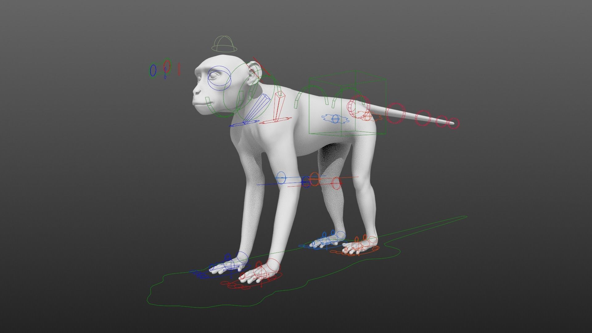 Vervet Monkey Animation VFX Grace 3D model_16