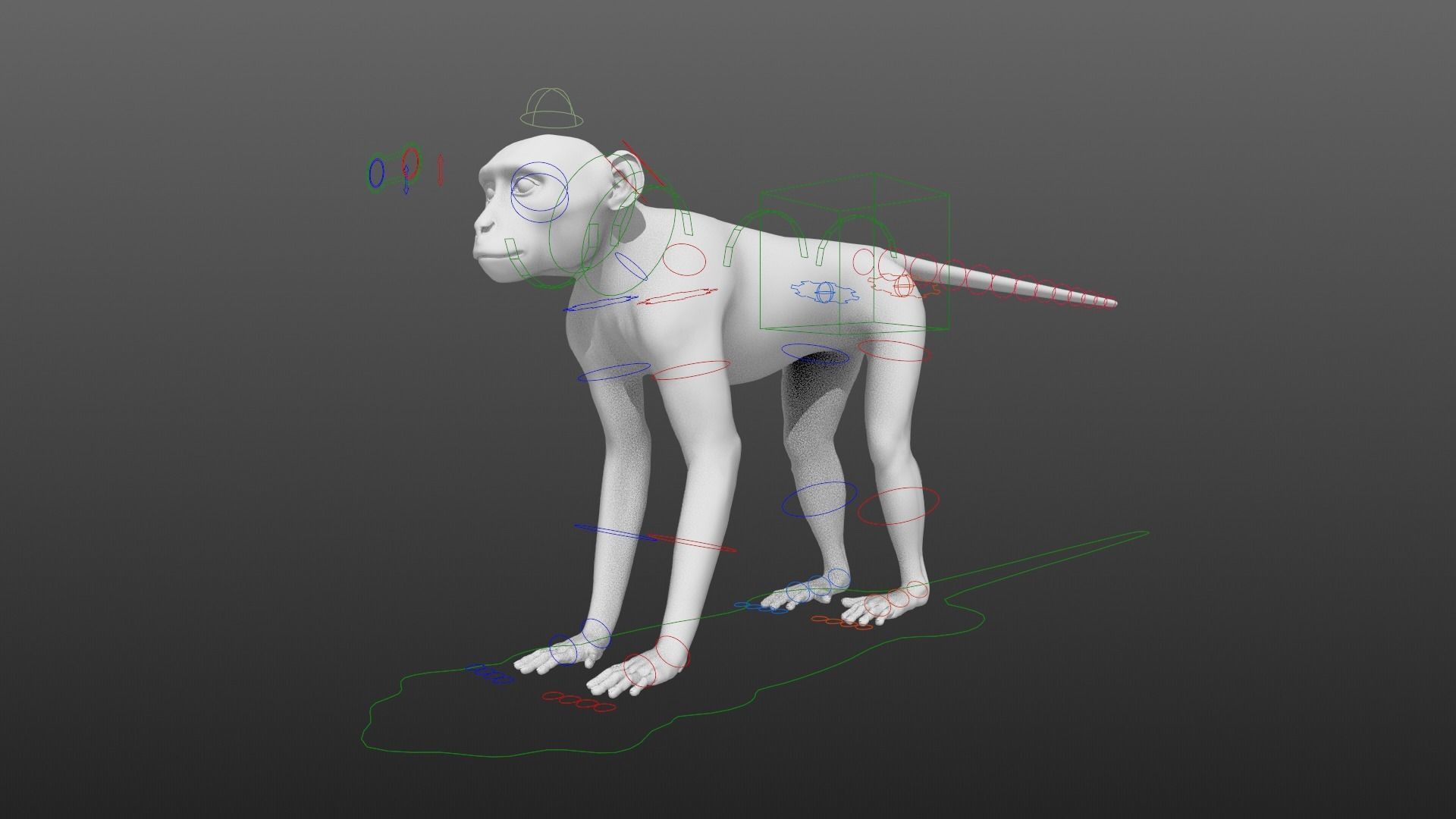 Vervet Monkey Animation VFX Grace 3D model_17