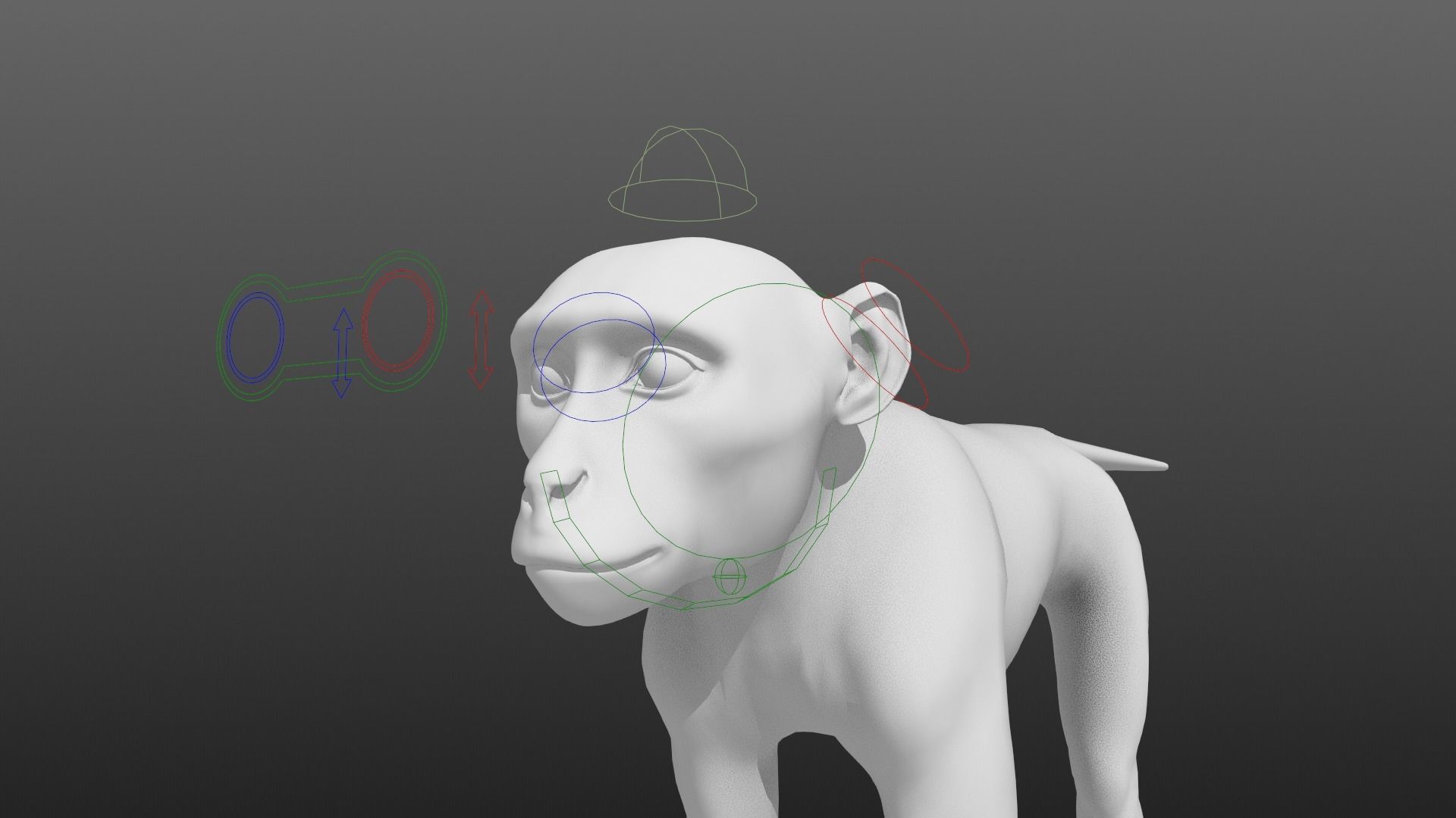 Vervet Monkey Animation VFX Grace 3D model_19