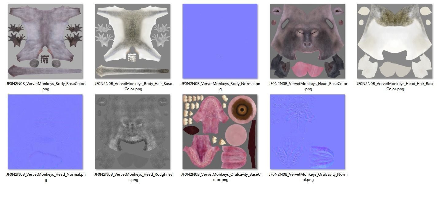 Vervet Monkey Animation VFX Grace 3D model_24