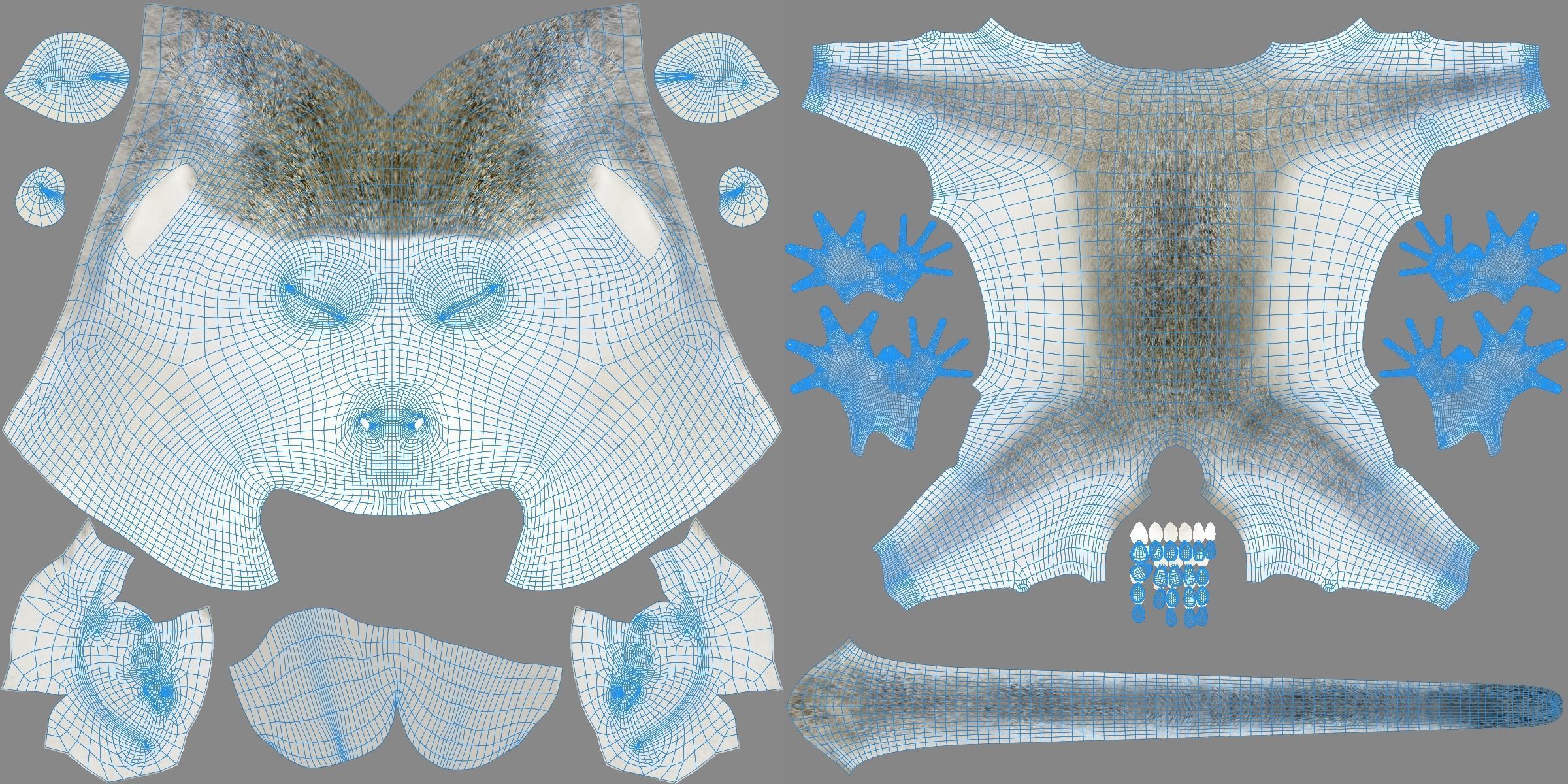 Vervet Monkey Animation VFX Grace 3D model_22