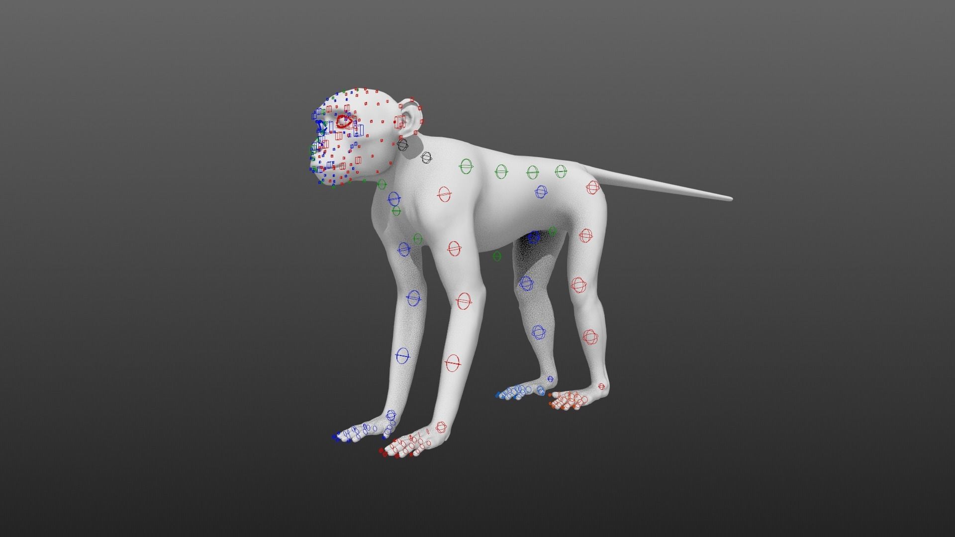 Vervet Monkey Animation VFX Grace 3D model_18