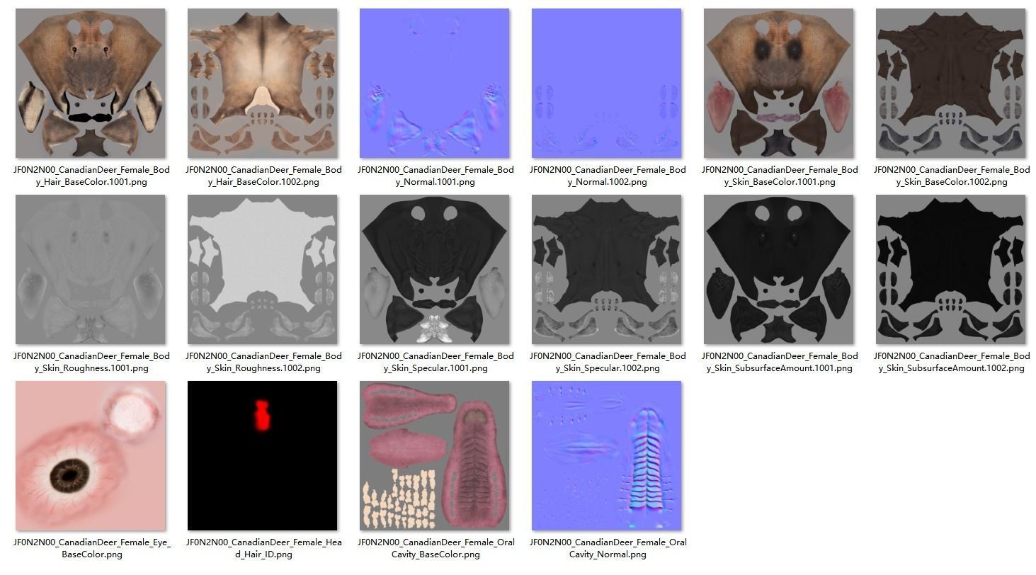 Female Canadian Deer Animation VFX Grace 3D model_23