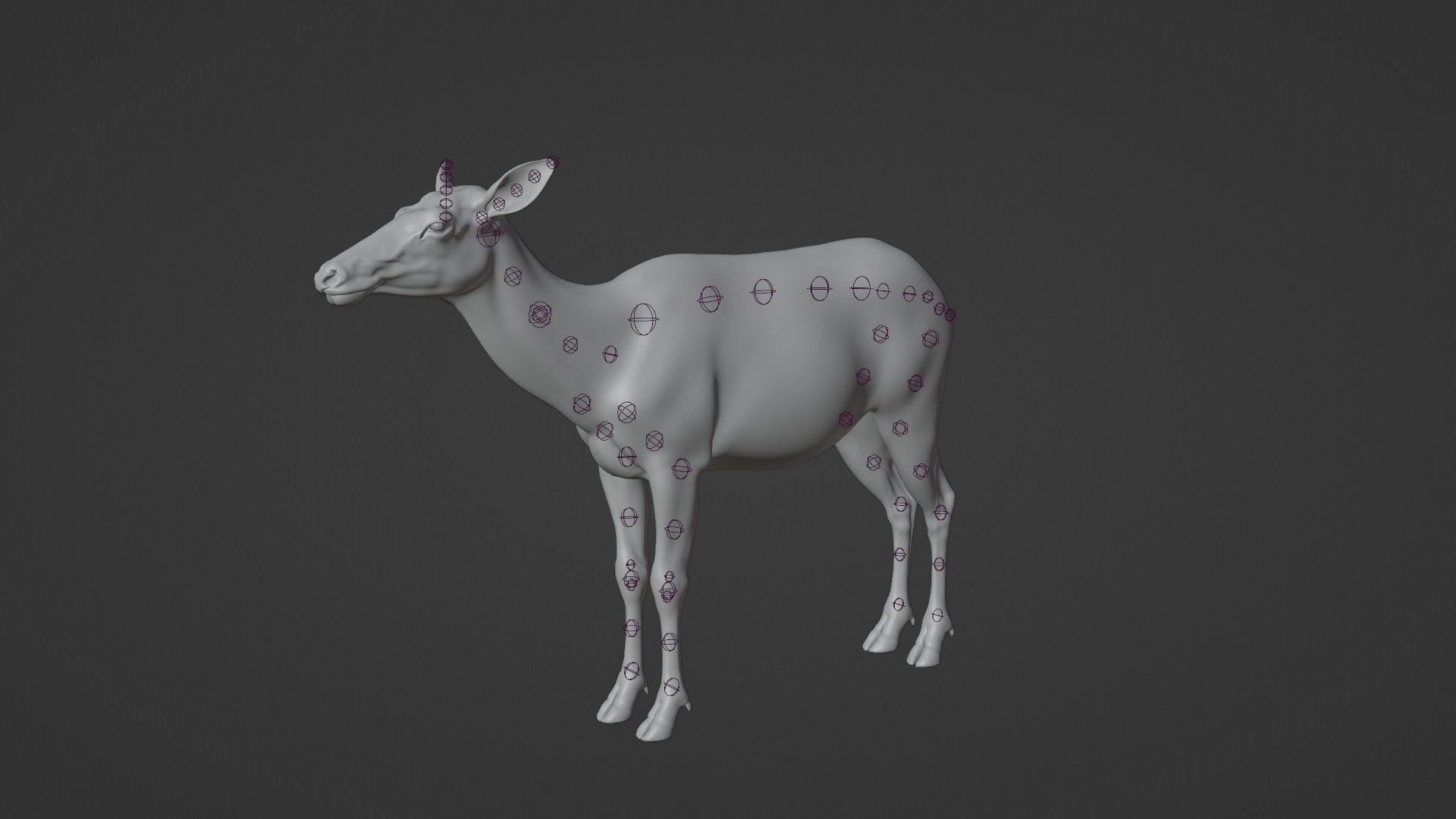 Female Canadian Deer Animation VFX Grace 3D model_17
