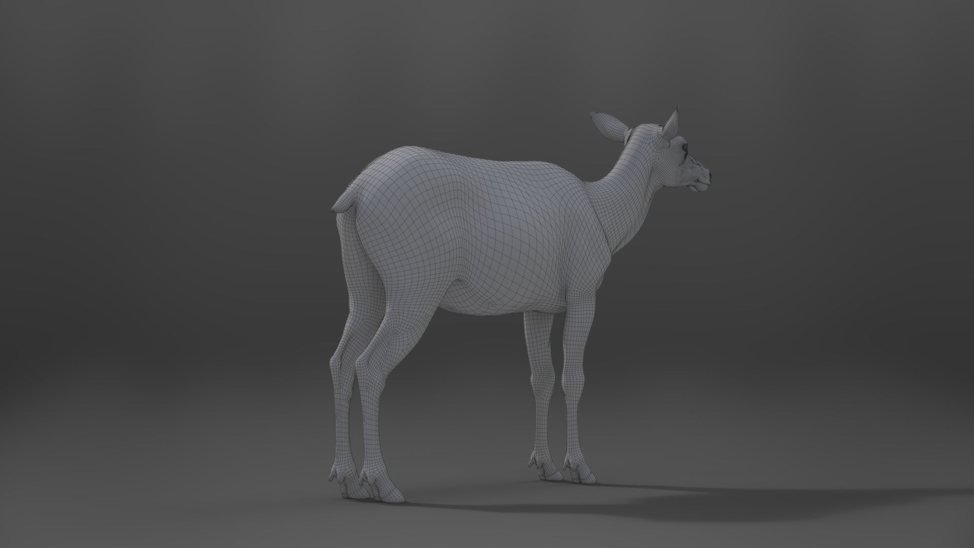Female Canadian Deer Animation VFX Grace 3D model_26