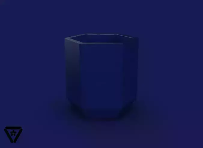 52 Hexagon Geometric Planter Box V1  Colleen