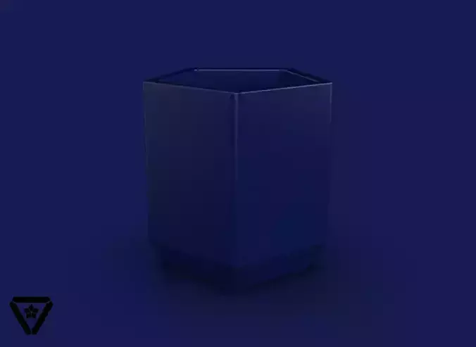 54 Pentagon Geometric Planter Pot  V1  Maya